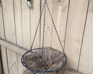 Lots of plant hangers