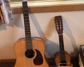 Alvarez Guitar and Regal Tiple