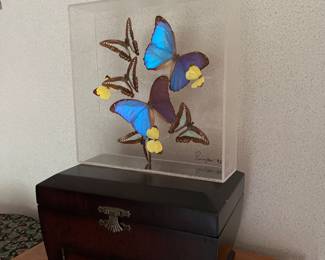 Butterfly art