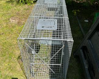 Large animal live trap
