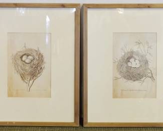 200 - Pair Bird Nest Prints, Framed 22x18
