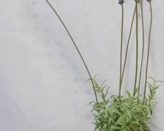 20 - Faux Potted Plant 18"
