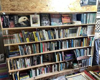 Another wall of books - good ones too!
