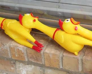 Rubber chickens