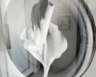 Robert Maplethorpe .