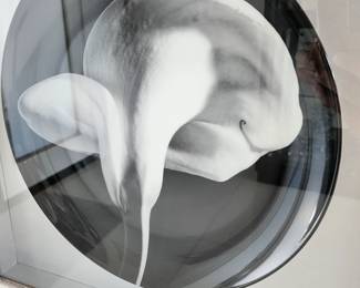 Robert Maplethorpe plates.