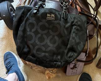 The pile of just Coach purses