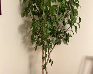 2 artificial trees are available