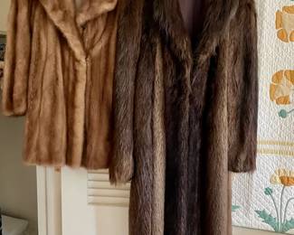  Albrecht's Furs
