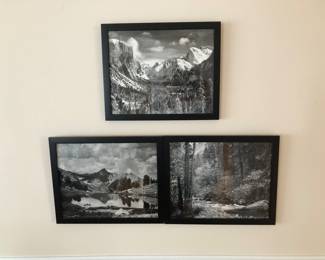 Black/White National Parks