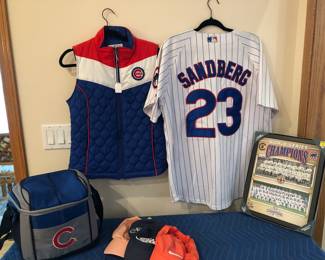 Cubs Sports Items