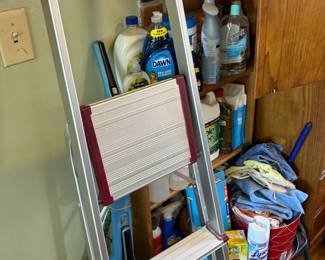 Cleaning supplies and a ladder