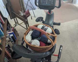 schwinn workout bicycle