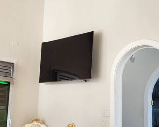 Sony 65" flat screen TV (works).