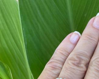 A- $360 - 1/2 ctw, 7 diamonds on 14kt gold band. 1.9 gr. sz 7 