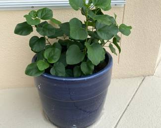 #30 $48 each 16” planter x2 blue glazed