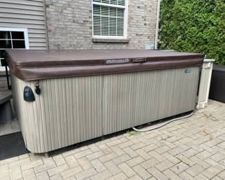 HotSping hot tub