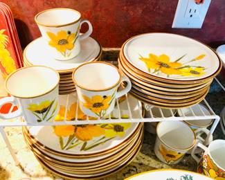 Mikasa Full Bloom Dinner Set