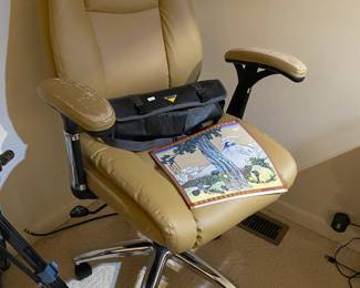 Office Chair, Nikon 45x Spotting Scope