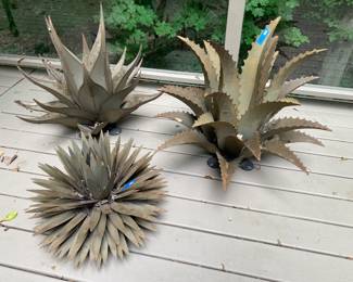 Desert Steel outdoor succulent plants 