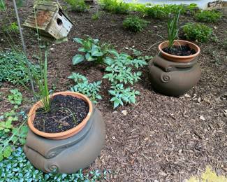 Outdoor planter with plants