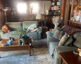 Den is packed with stuff, couches just $50.00 each!