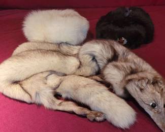 Fur Stole Hats