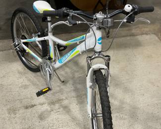 Restored “Giant” girls bike
