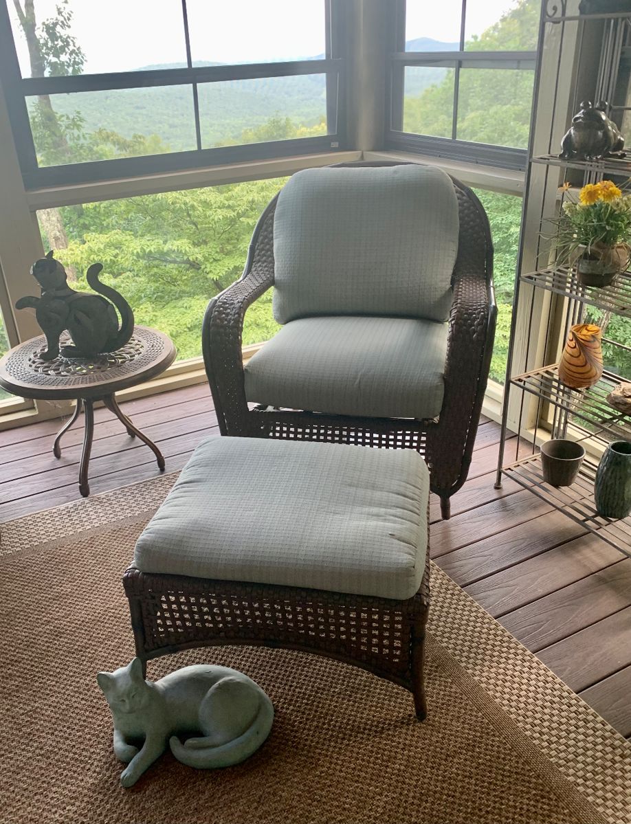 HUGE BIG CANOE ESTATE SALE in Big Canoe, GA starts on 8/2/2024