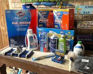 Assorted pool chemicals, vacuum head