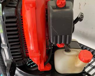 Echo Backpack blower