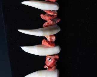 Vintage Native American Red Coral & Bear Claw Necklace 
