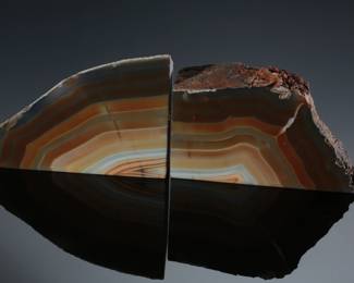 2pc Petrified Wood Bookends
