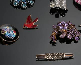 Costume Jewelry Lot 11 Brooches & Pins
