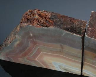 2pc Petrified Wood Bookends
