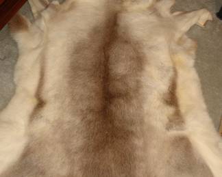 Animal skin rug