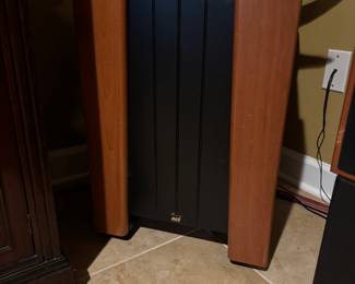 ACI 0489 Titan Subwoofer