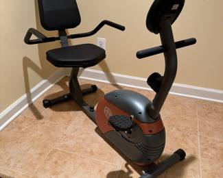 Impex / Marcy Recumbent Exercise Bike