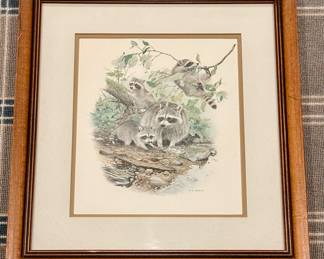 Raccoon Framed Art