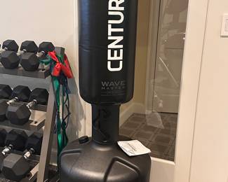 Century Wavemaster Punching Bag