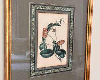 Framed Botanical