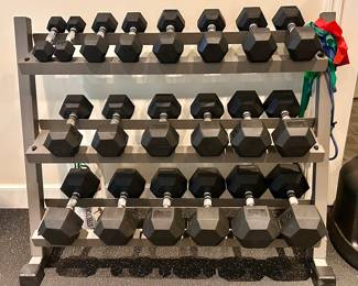 Dumbells & Rack