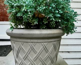 (2) Lightweight Planters with Faux Boxwood
