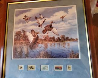 Duck Stamp Collection bound and ready to go! Also duck prints with stamps framed.