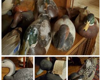 We have duck decoys of all sizes, shapes, and materials.