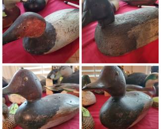 More Ducks Added Saturday and Sunday!