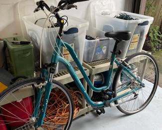 Trek bicycle - women's