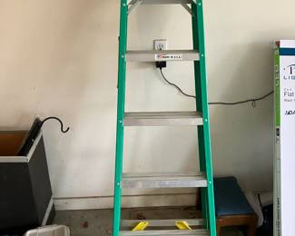 6' Werner stepladder