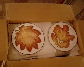 Autumn Leaf Design Ceramic Plates Set Of 12 (4 Patterns)