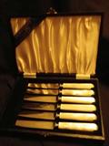 Pearl handled steak knives,